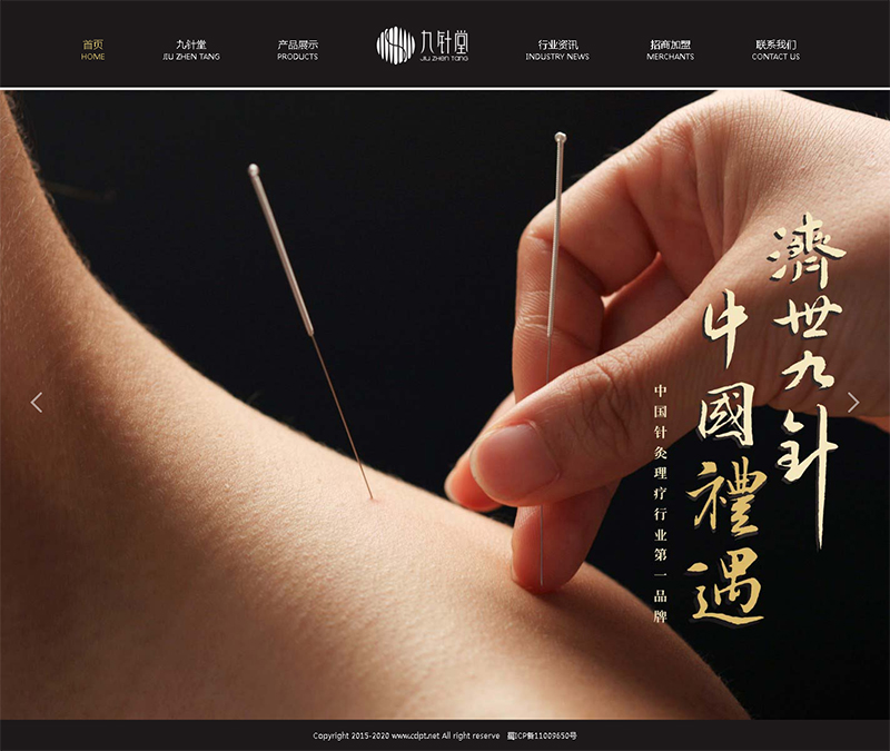 賀：廣州真翼好醫(yī)療科技有限公司網(wǎng)站制作完成上線！