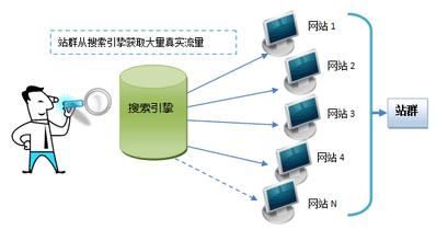 網(wǎng)站建設之站群SEO應該怎樣操作？